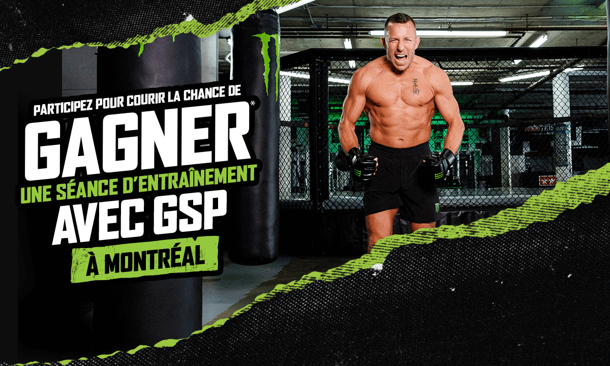 Monster McLaren site banner